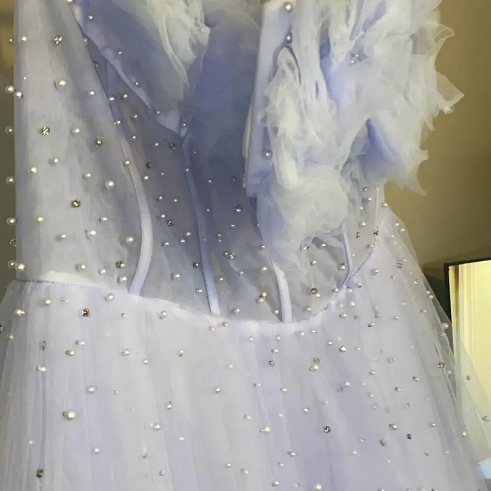 Sky Blue Dress with Sequin Appliques - Picture 3 of 12